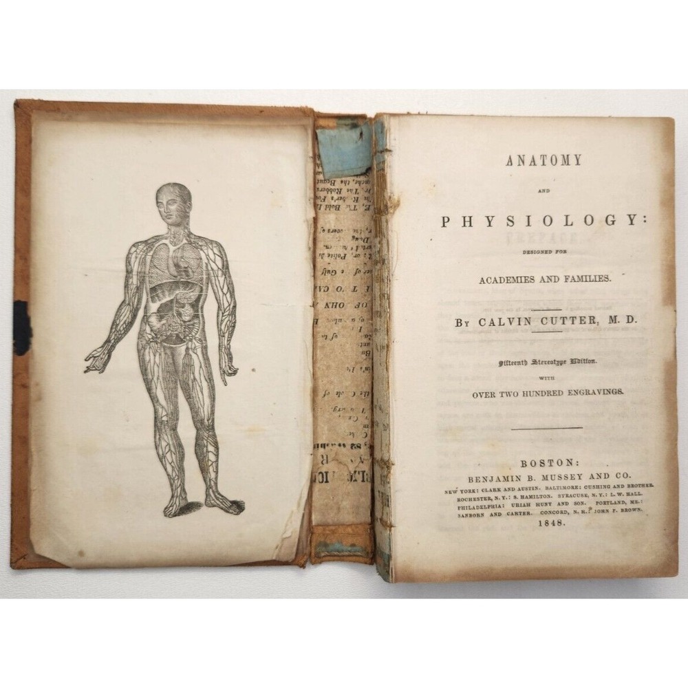 1848 Anatomy And Physiology Academies and Families Calvin Cutter 200 Engravings